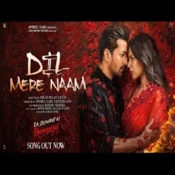 DIL MERE NAAM