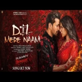 DIL MERE NAAM